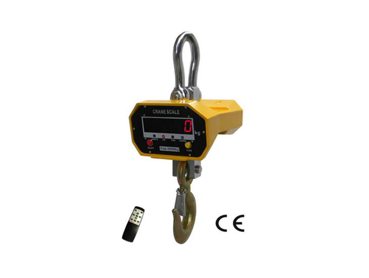 H4 series crane scale