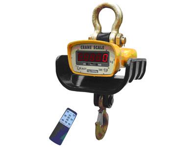 H1 series Crane scale